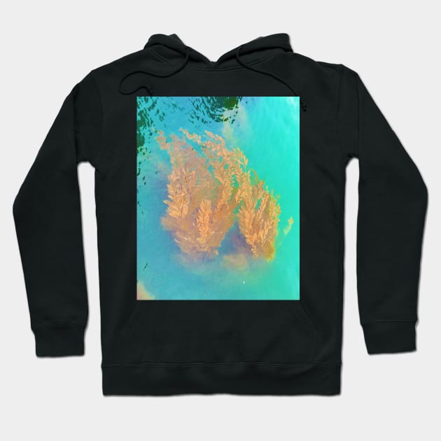 Kelp Floating in the Pacific Ocean Hoodie by ephotocard